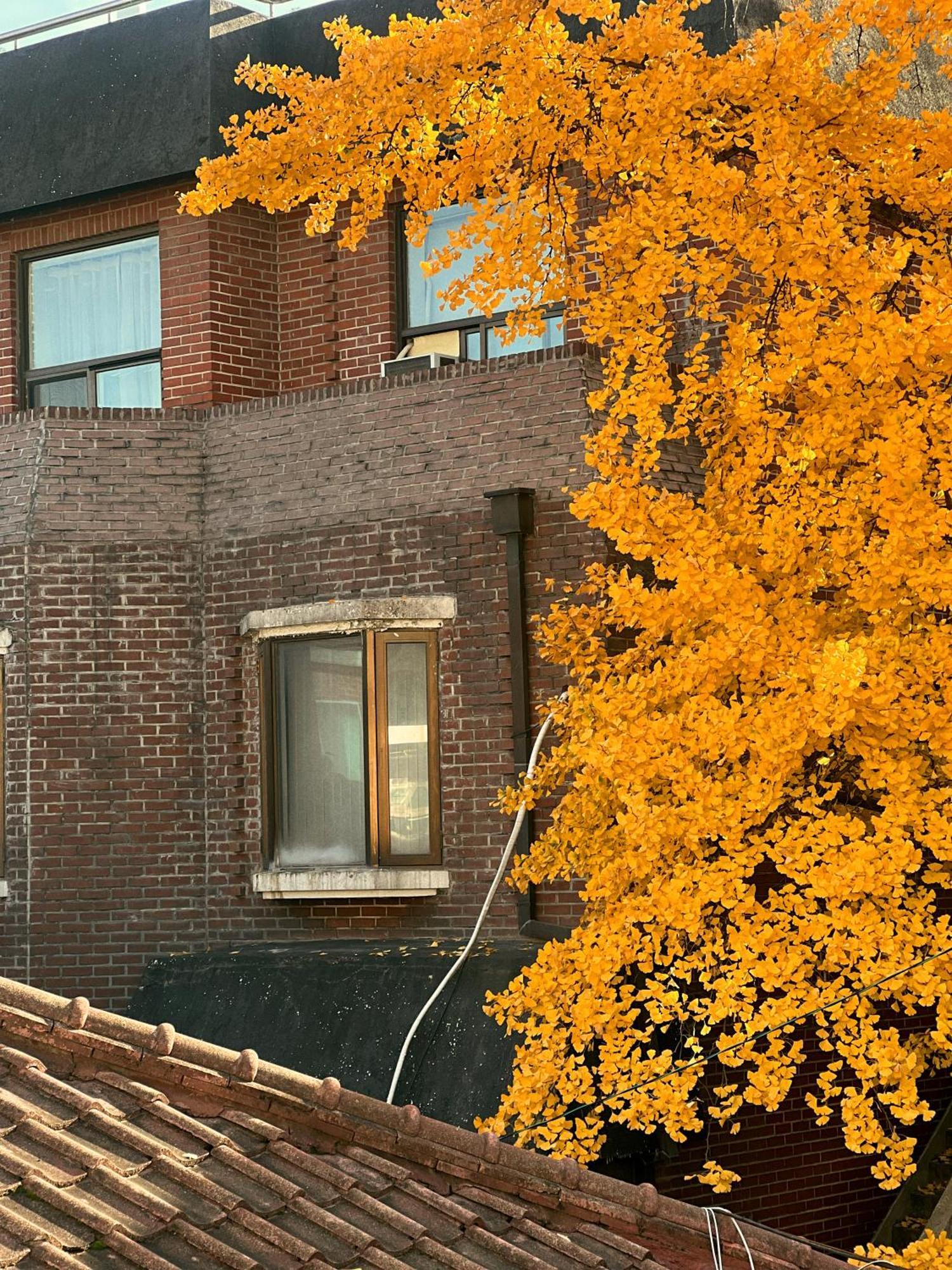 Jnineguesthouse Szöul Kültér fotó